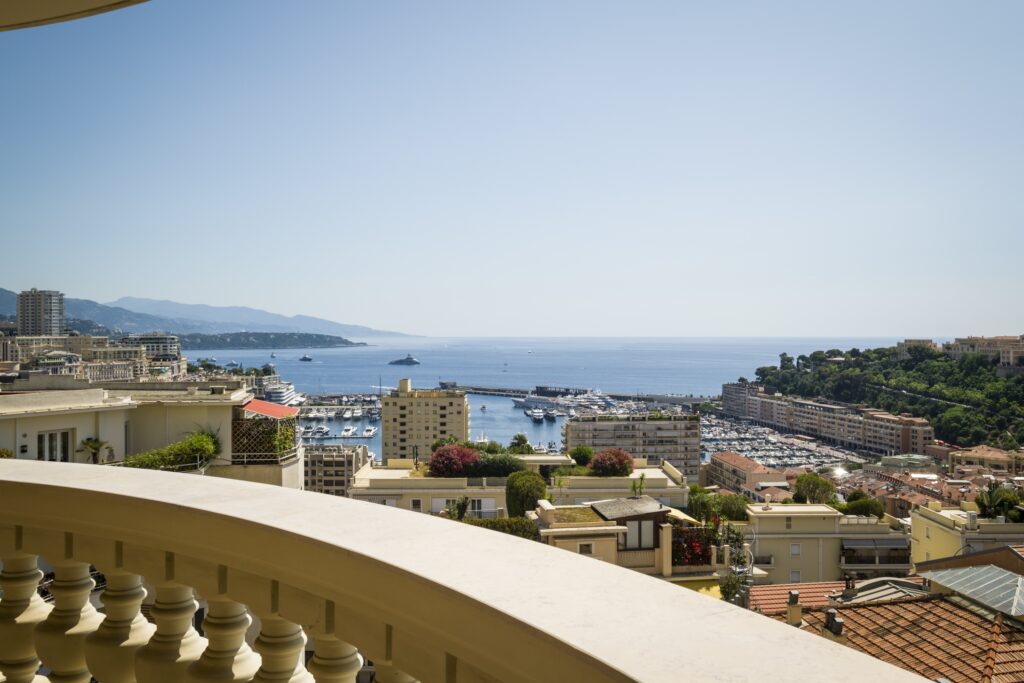 View from l'Oiseau Bleu in Jardin Exotique