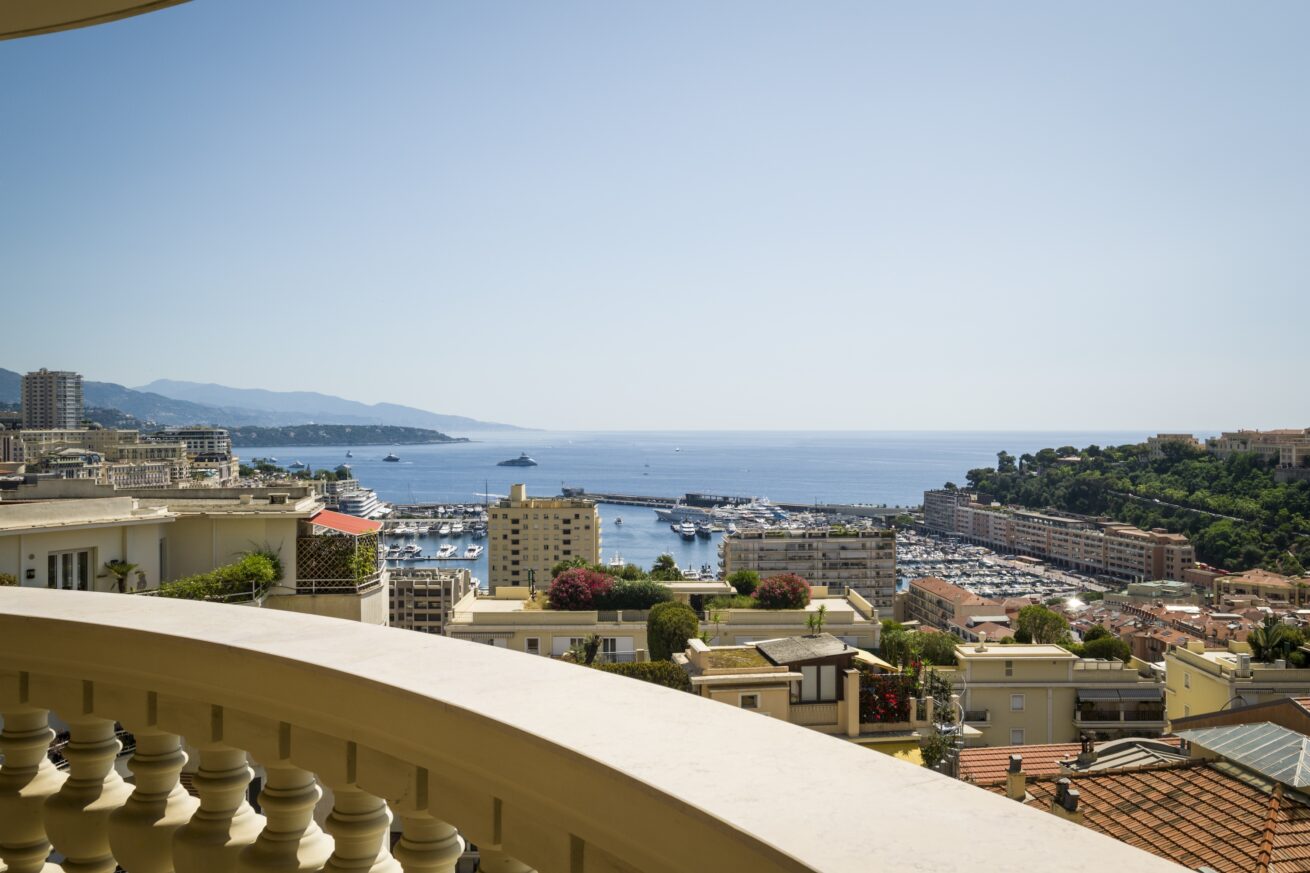 View from l'Oiseau Bleu in Jardin Exotique