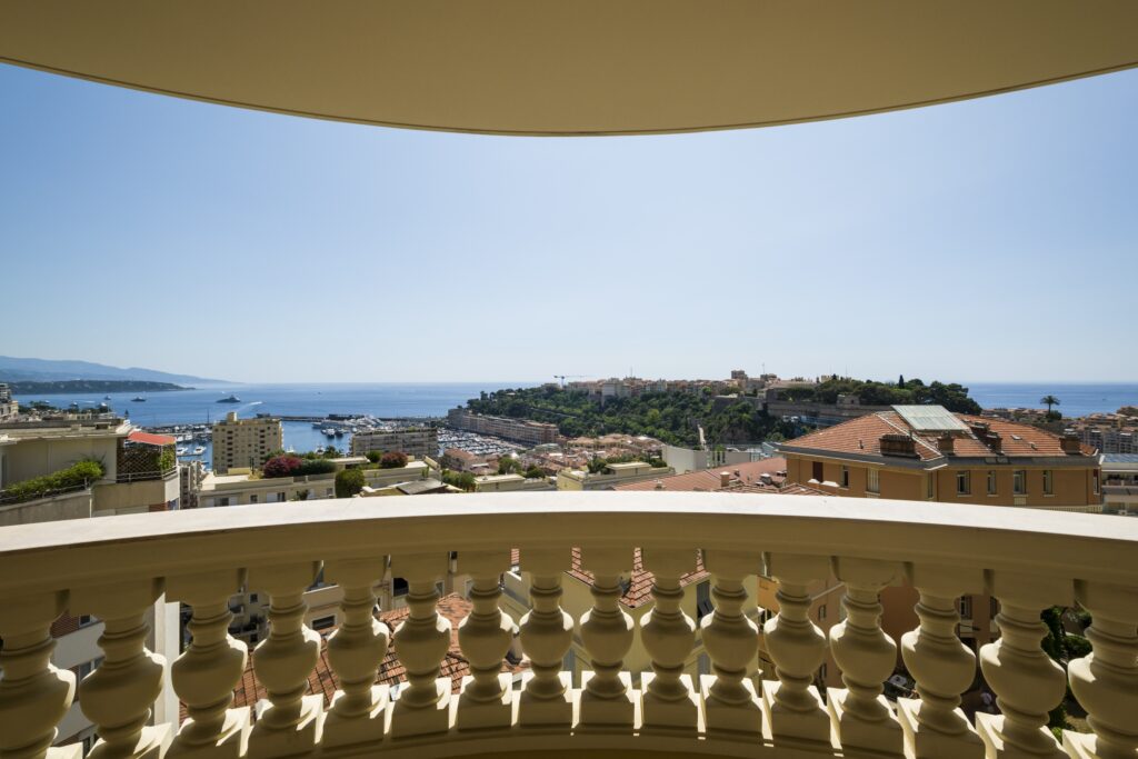 View from Oiseau Bleu, Monaco