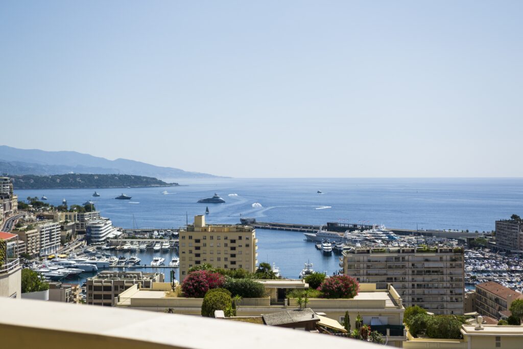 Oiseau Bleu sea view