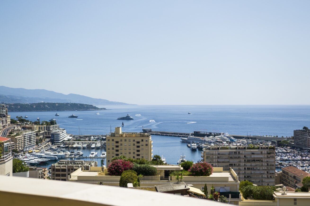 Oiseau Bleu sea view