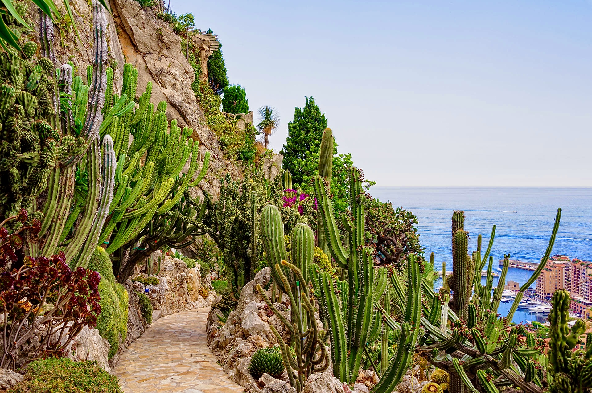 Jardin Exotique in Monaco